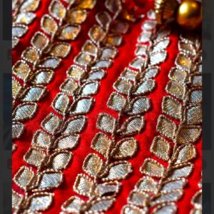 Red Velvet Fabric with Gold and Silver Leaf Zari Embroidery